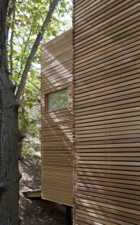 Espaço T / Steven Holl Architects (8)