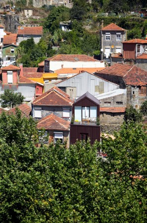Casa Outeiro / Ezzo (11)
