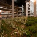 Edifício Campus Almagro Norte, Universidad Central de Chile / Marsino Arquitectos (19) © Aryeh Kornfeld