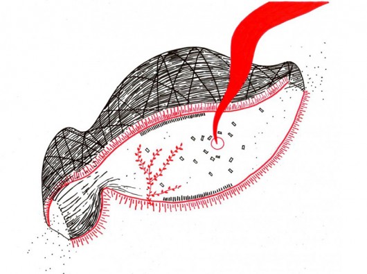 Cicada / Marco Casagrande (16)