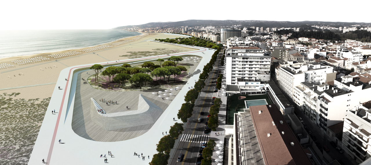 Figueira panorâmica