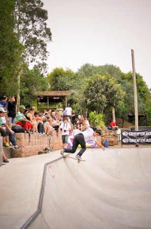 Skatepark Particular em Viamão / Cheuiche Arquitetura (3)