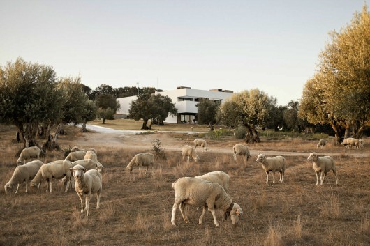 Hotel Villa Extramuros / Vora Arquitectura