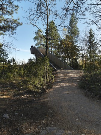 Escada da Floresta em Stokke / Saunders Architecture (5)