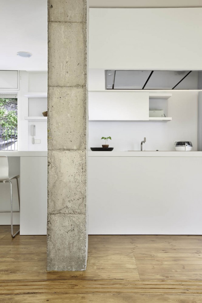 Reforma interior de uma habitação em Barcelona / Marià Castelló Martínez