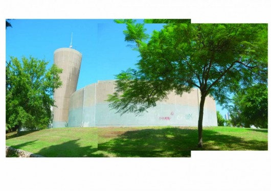Projeto Torres de Água: Hábitat para a Fauna Urbana (3)