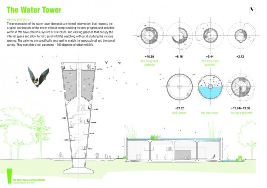 Projeto Torres de Água: Hábitat para a Fauna Urbana (6)