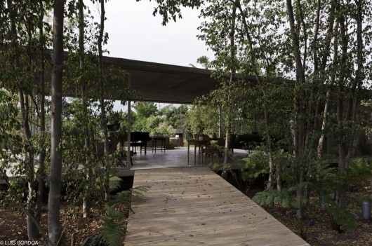 Casa Semente / T3arc (17)