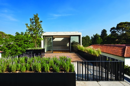 Casa Maruma / Fernanda Canales (9)