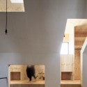 Ant-house / mA-style architects (16) © Kai Nakamura