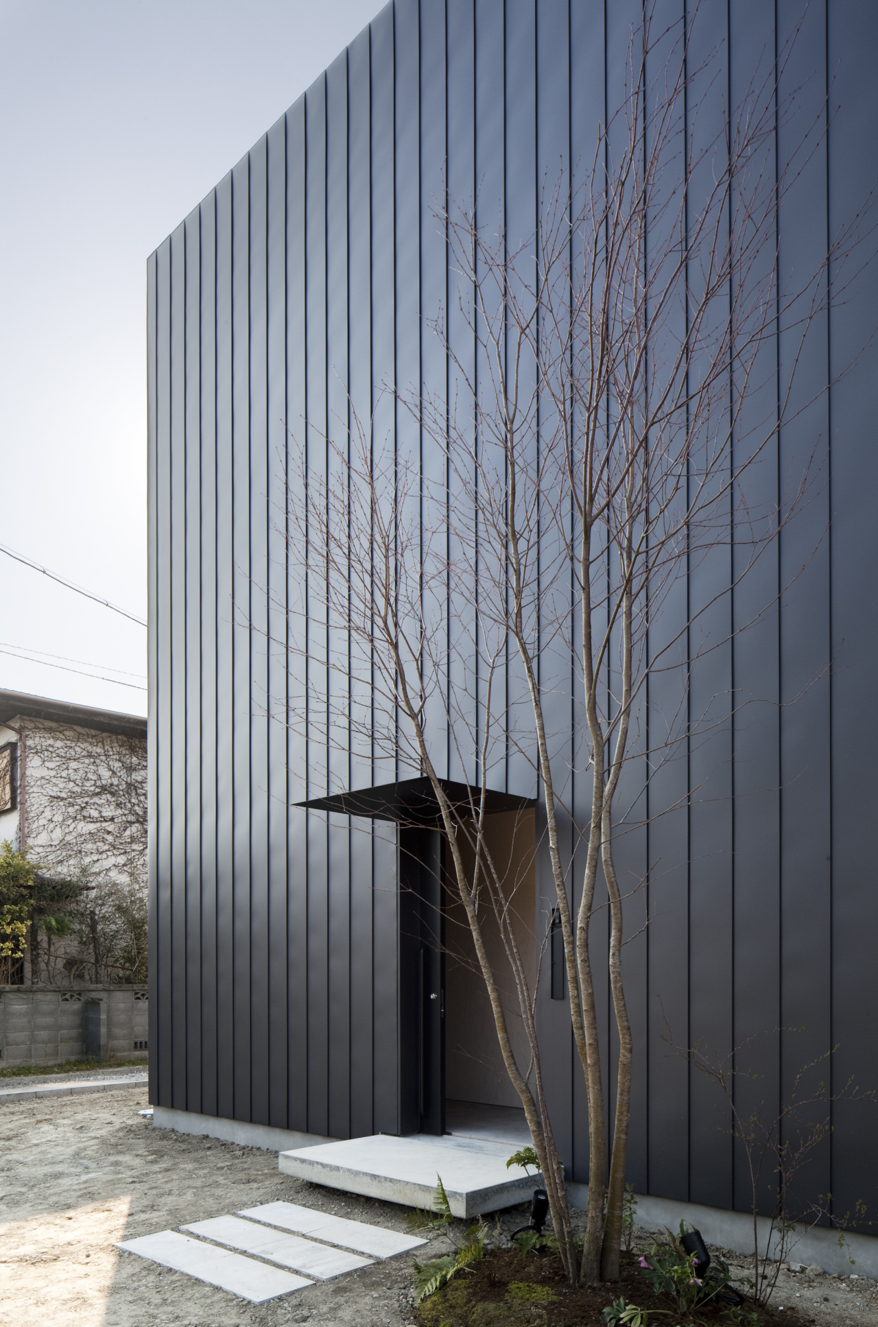 Ant-house / mA-style architects