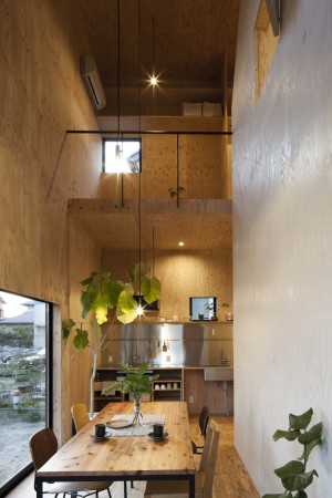 Ant-house / mA-style architects (4)
