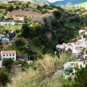 © José Maria Oliveira