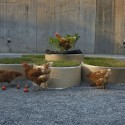 “Public Farm 1″