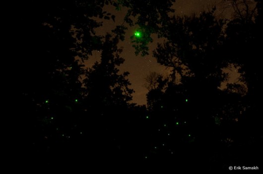Primeira edição do Festival “Luz na Cidade” no Rio de Janeiro (6)