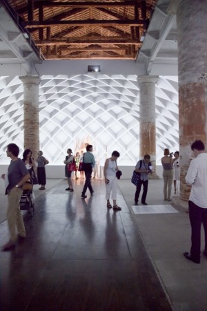 Bienal de Veneza 2012: ‘Architecture and its Affects’ / Farshid Moussavi (5)