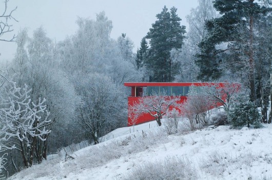 © Nils Petter Dale