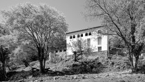 © Adrià Goula