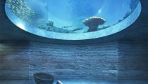 Ganadores del Concurso Basel Aquarium