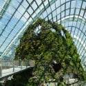 Cortesia de Wilkinson Eyre Architects